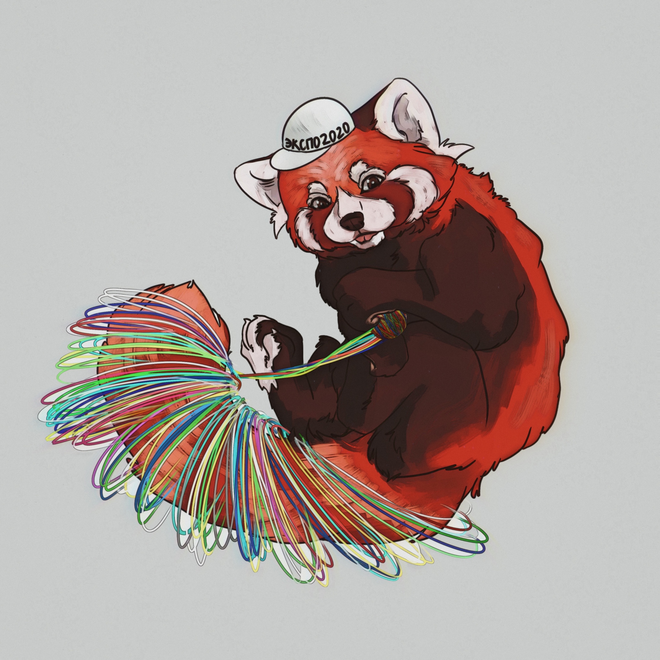 Optimized img 3176