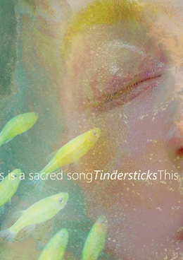 Preview tindersticks